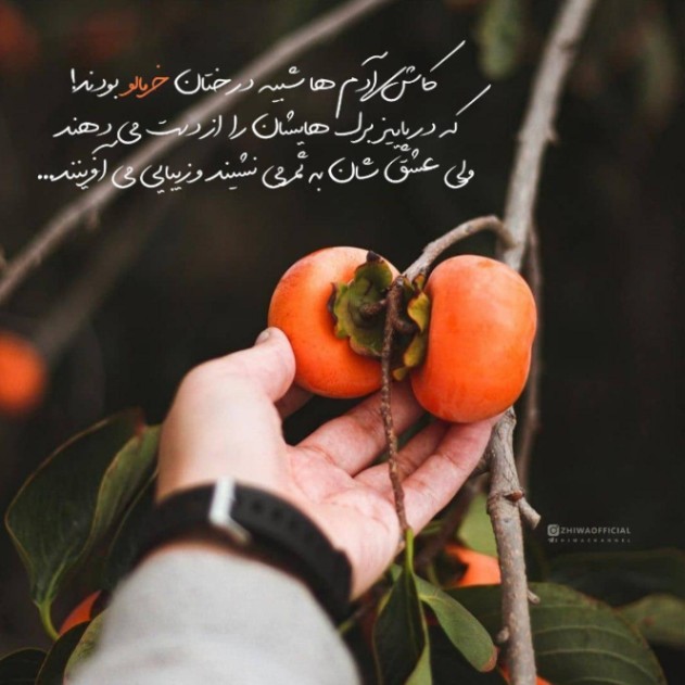 دانلود آهنگ ای دل سیاوش شمس اندی معین کوروس هاتف مرتضی از فارس ترانه